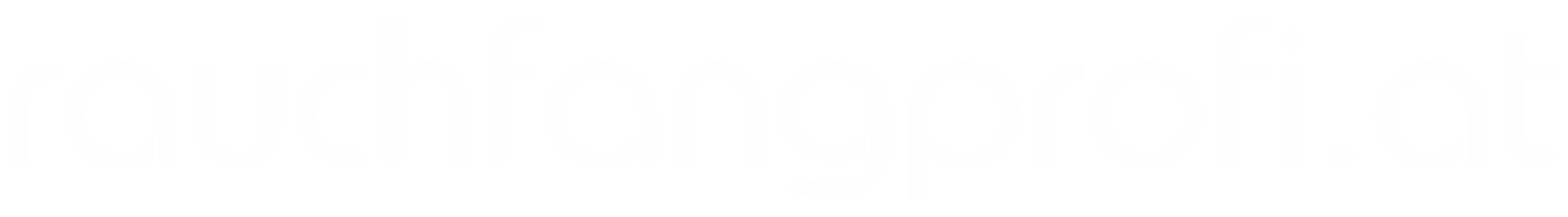 rauchfangprofi.at Logo